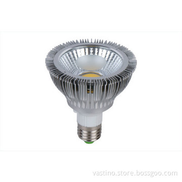 2013 VASTINO LED PAR light